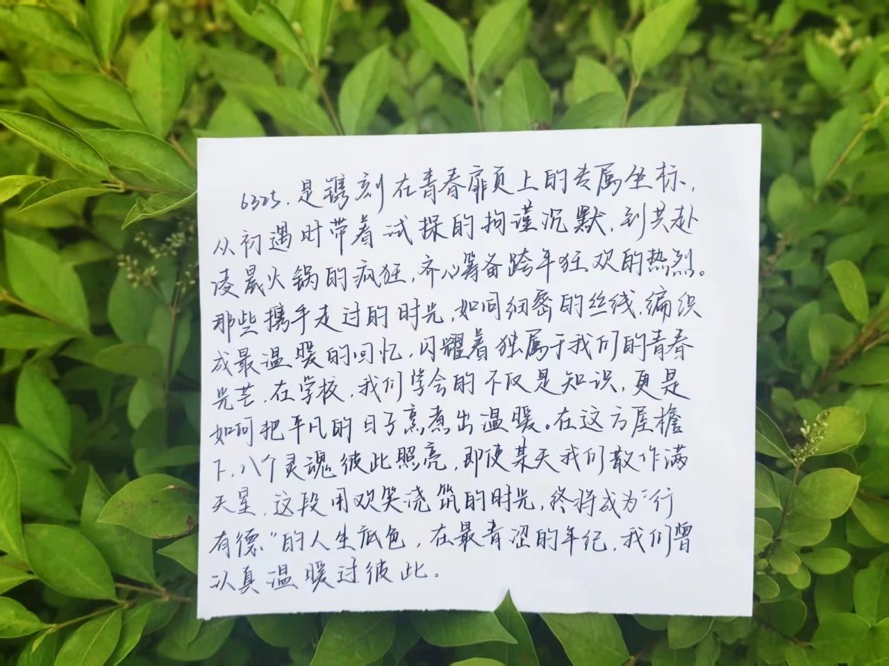 微信图片_20250612170231.jpg