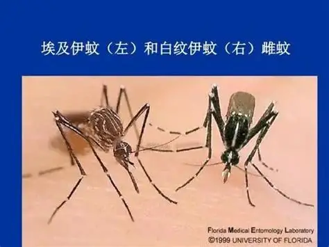 微信图片_20250904225242.png