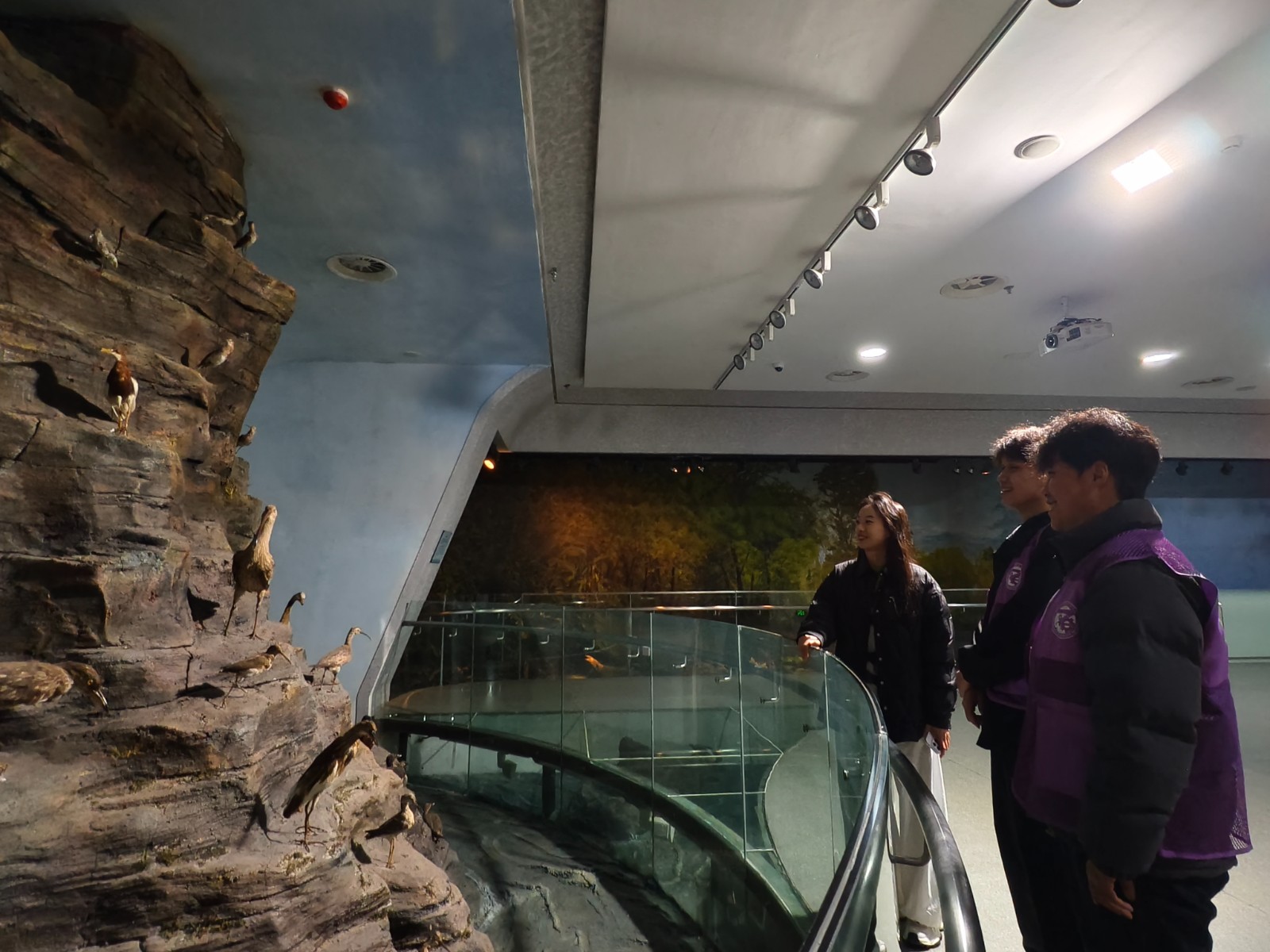 14e476680f5d9e911440bf96192617dc.jpg 14e476680f5d9e911440bf96192617dc.jpg