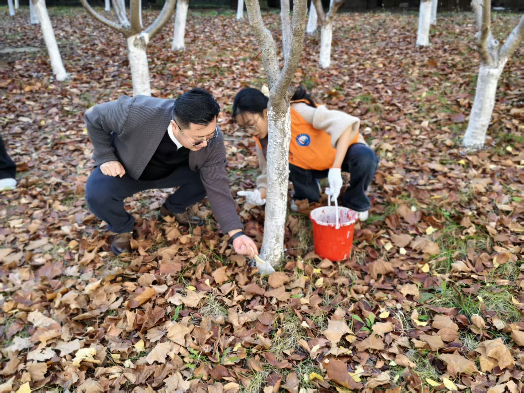 3453d0aafe18ac02f88f7eadcc06e556.png 3453d0aafe18ac02f88f7eadcc06e556.png