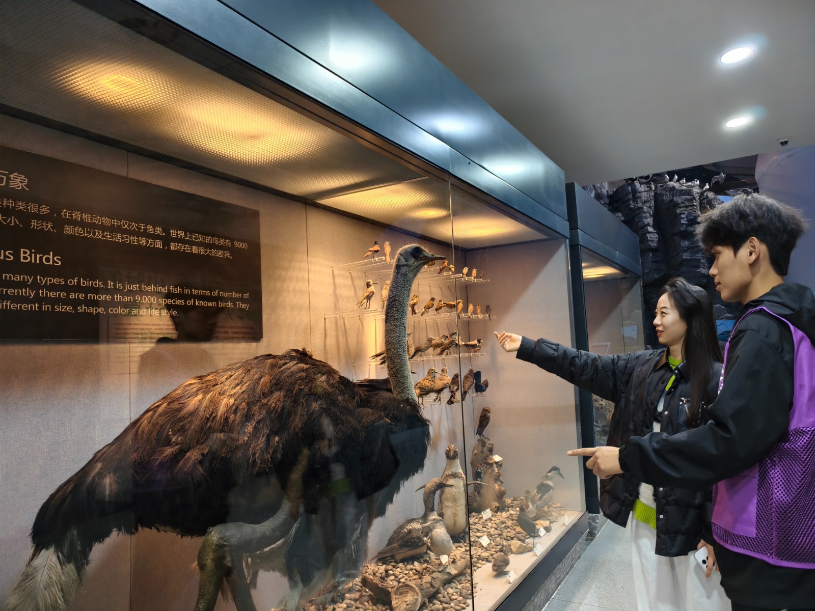 95be3448b6d8a8cc1a875f6c367096c9.jpg 95be3448b6d8a8cc1a875f6c367096c9.jpg