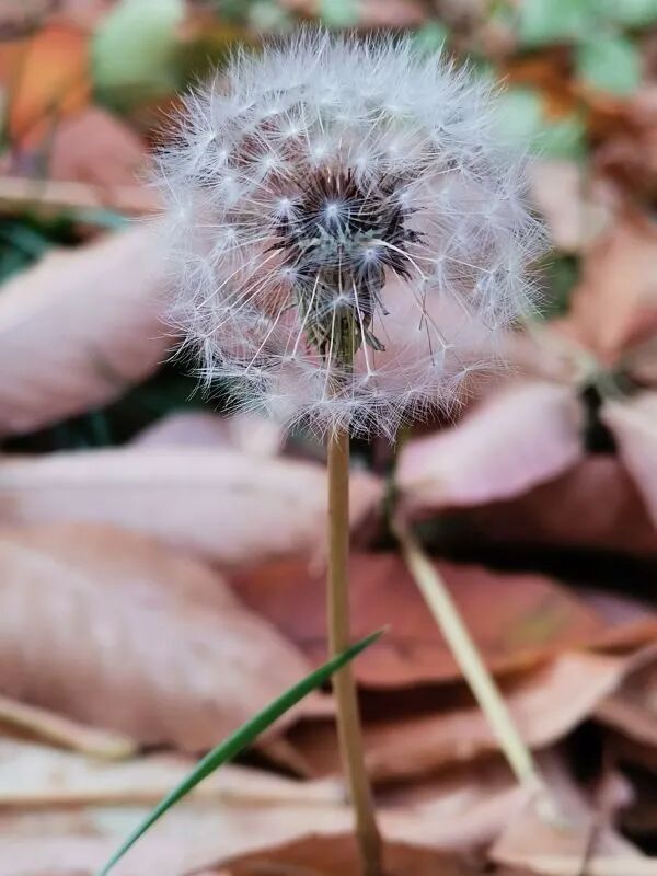 11debb8b09187cafad3fa279625d8b87.jpg 640 (6).jpg