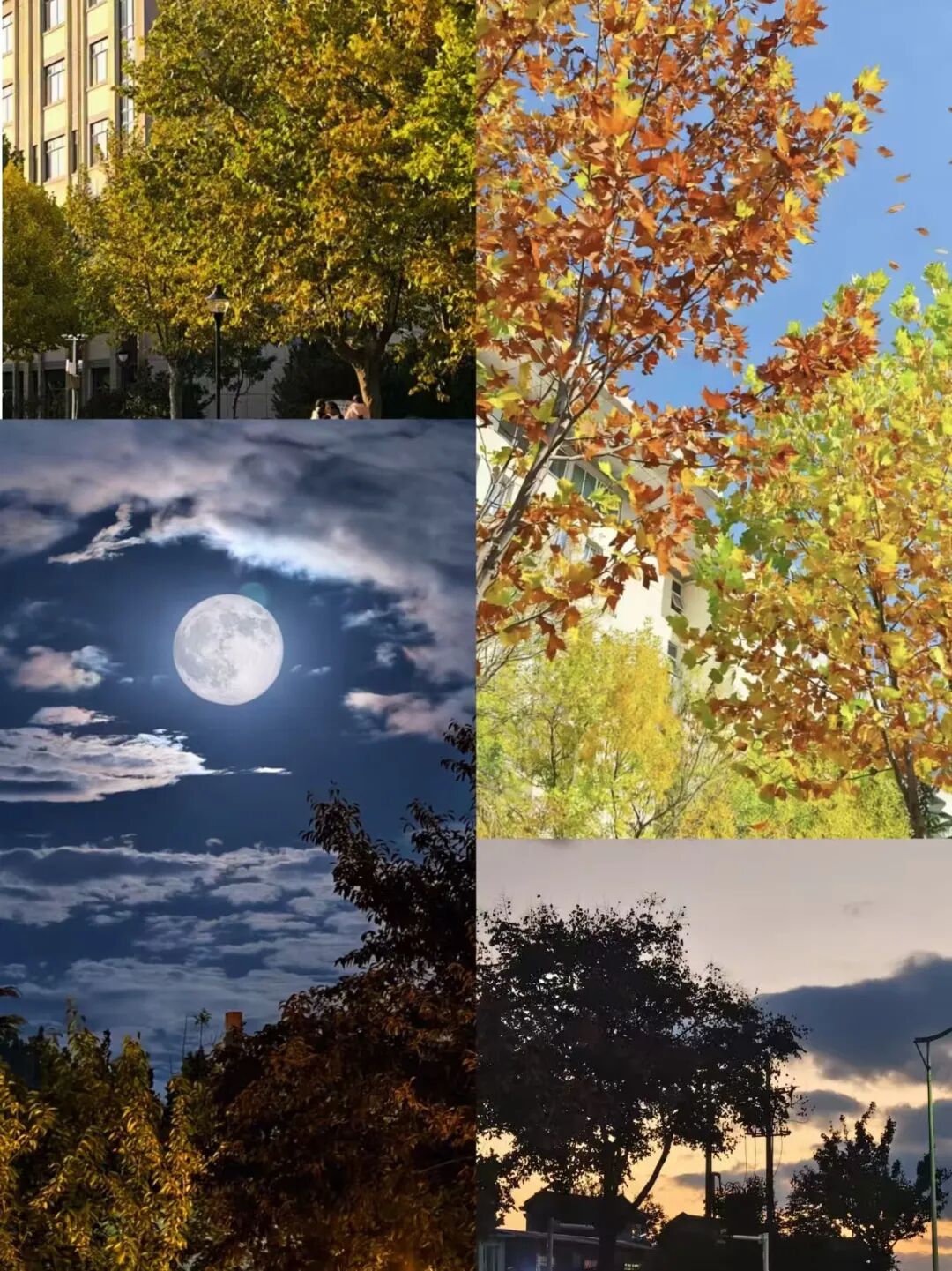 1bd161a3124394c6eddd7551cdc5b397.jpg 640 (5).jpg