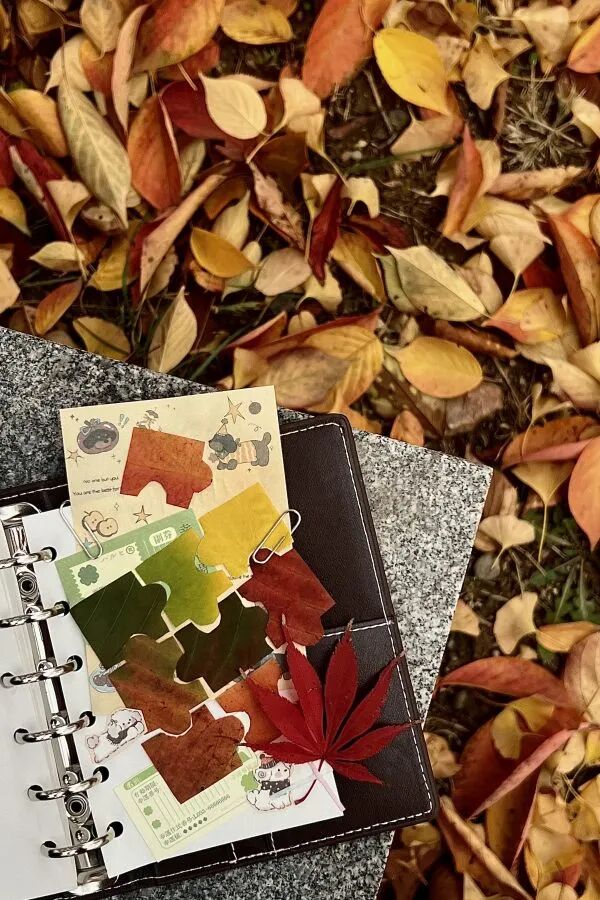 1fef55a9228149e47ef95dbe36df990e.jpg 640 (1).jpg