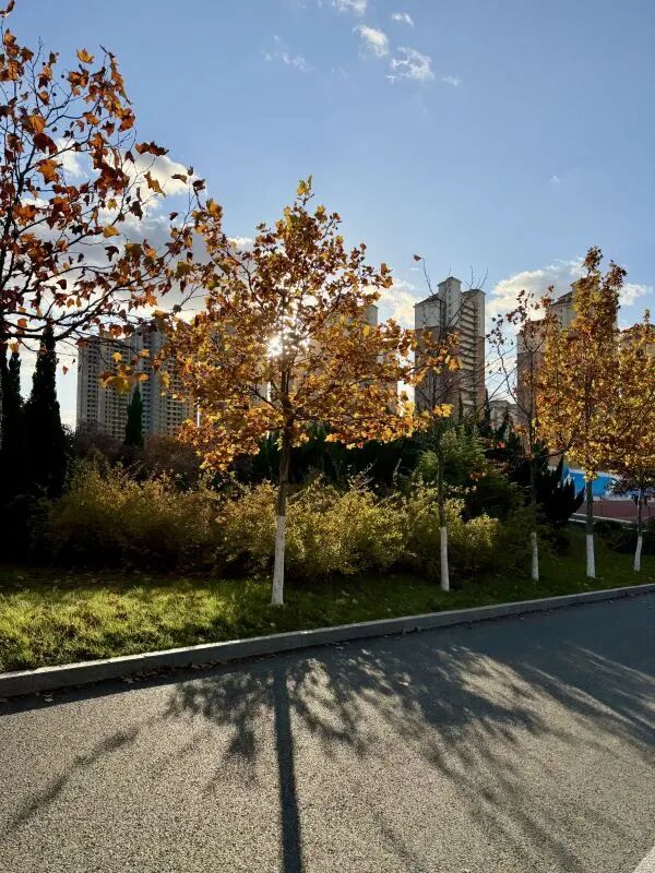 54e1407579ddf23dafa716594ce66078.jpg 640 (15).jpg