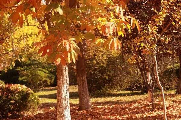 56906d3040611bd363b6e026785d5f31.jpg 640 (16).jpg