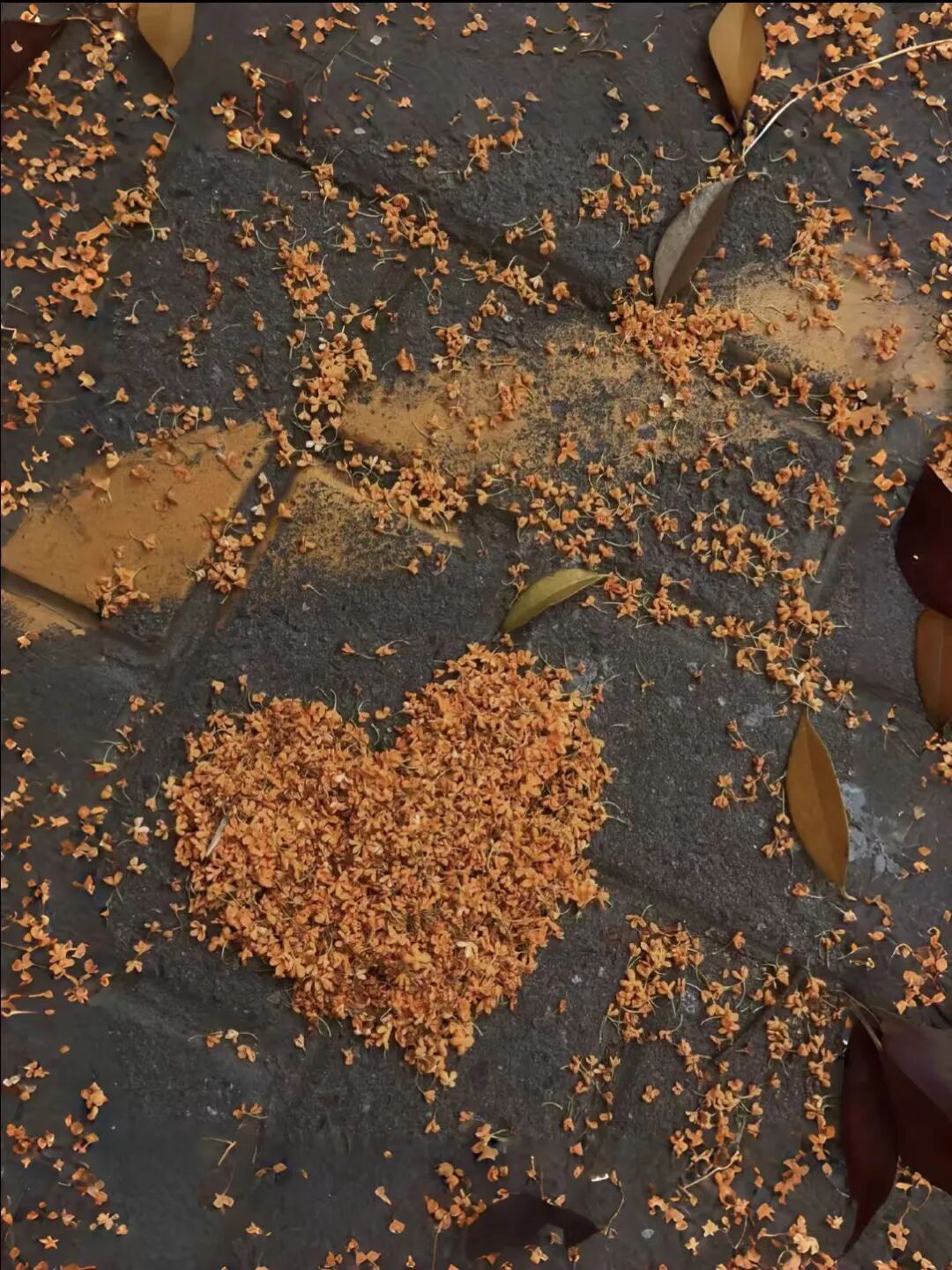 5852c62f1e35d50152713b60383f765d.jpg 640 (3).jpg