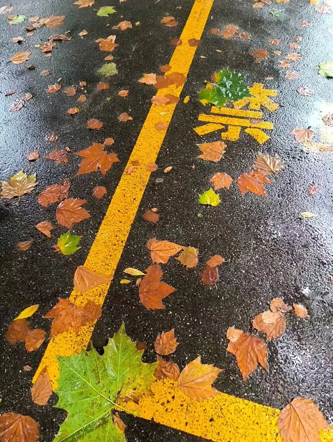 5b733ebf6788381d5307cf715746c01d.jpg 640 (6).jpg