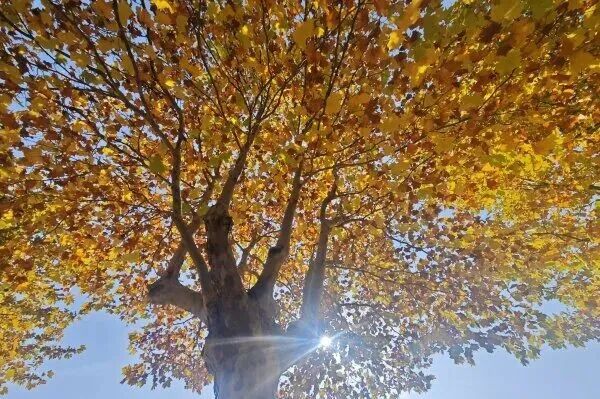 625f51db2019acbc34c7ea0fd97074b2.jpg 640 (17).jpg