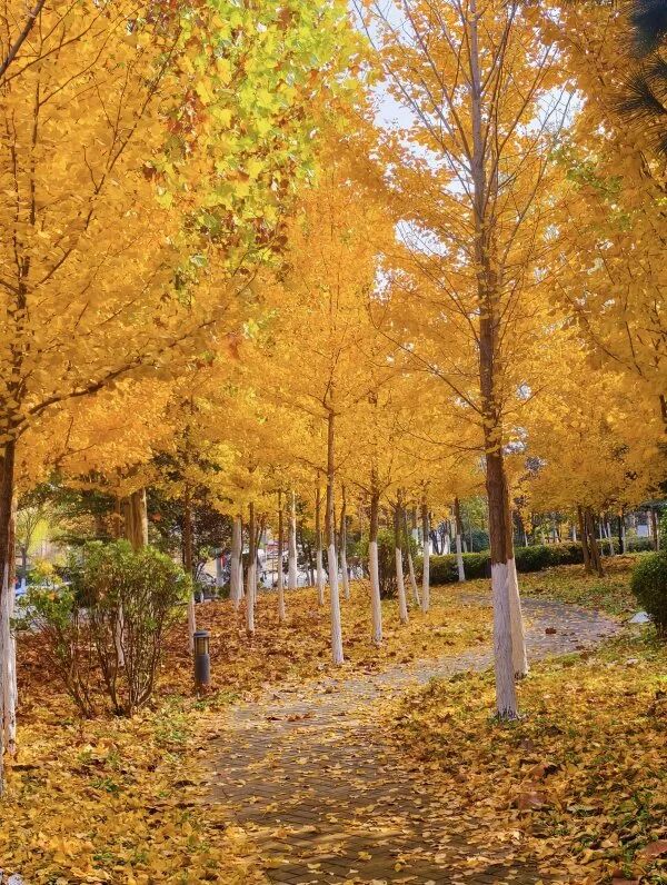 65bc1c90dd08debb768562a68f00710f.jpg 640 (8).jpg