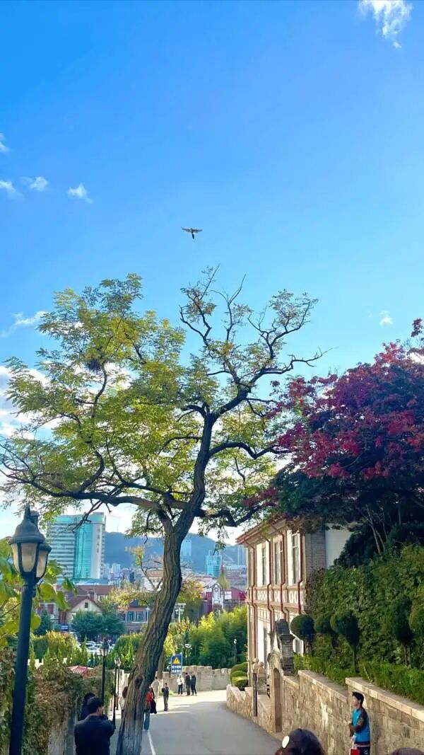 6ae84996aebd7bedbbb2665e90a63311.jpg 640 (2).jpg