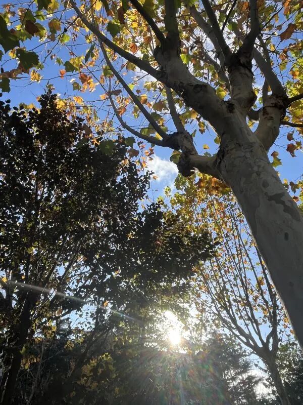 7209c75568ec07f5c9aafbfaf353f799.jpg 640 (9).jpg