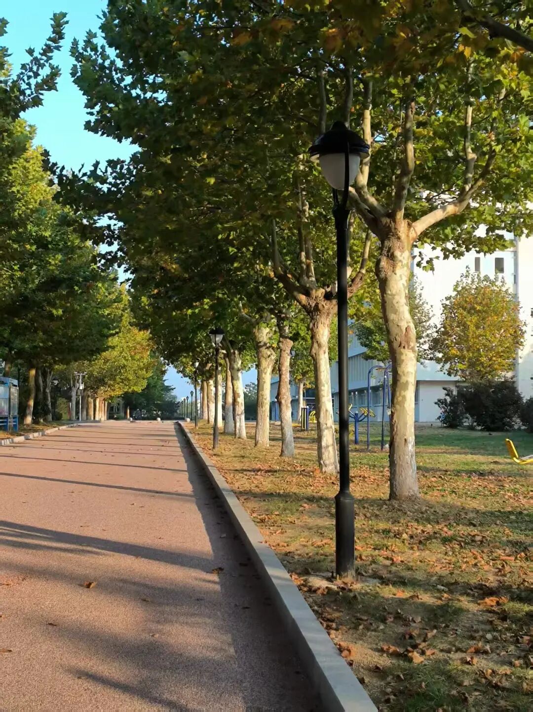 756248b8ff083e193a04ba1488eff784.jpg 640 (5).jpg