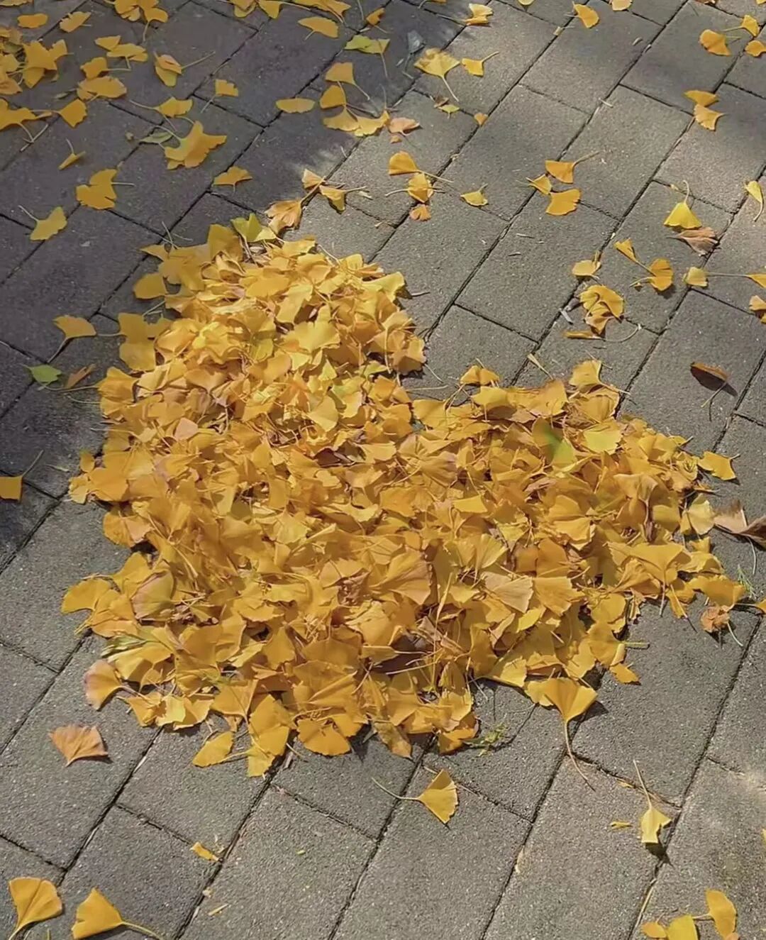 b3e70dd3b7630ef7d625fa59d3ac4237.jpg 640 (4).jpg