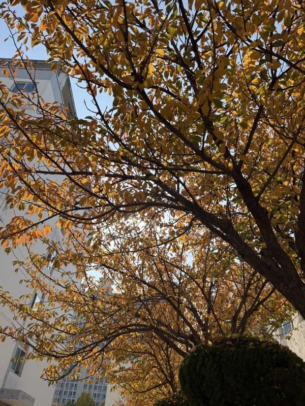 b6d4b1d6d6dd8fbdb82087d89fe04ccd.jpg 640 (14).jpg