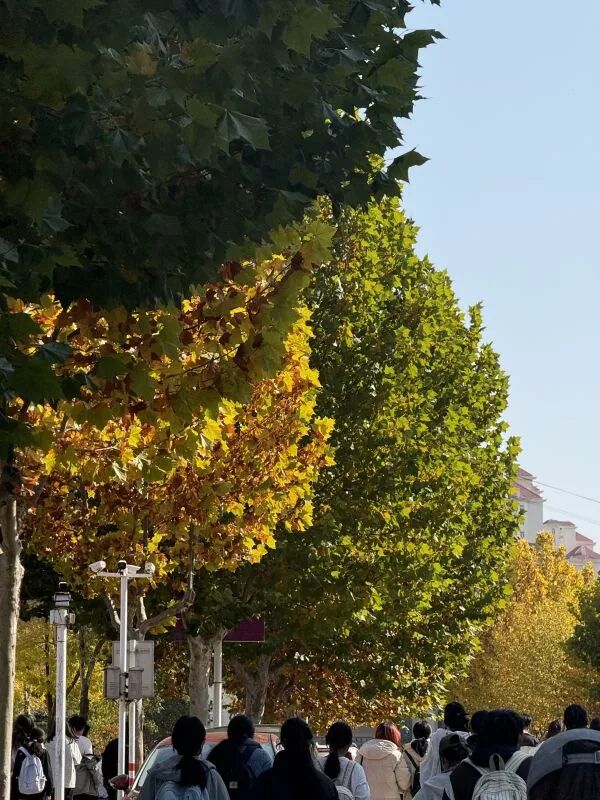 b795fde48a6ace23cd69294b9d9a18d8.jpg 640 (10).jpg