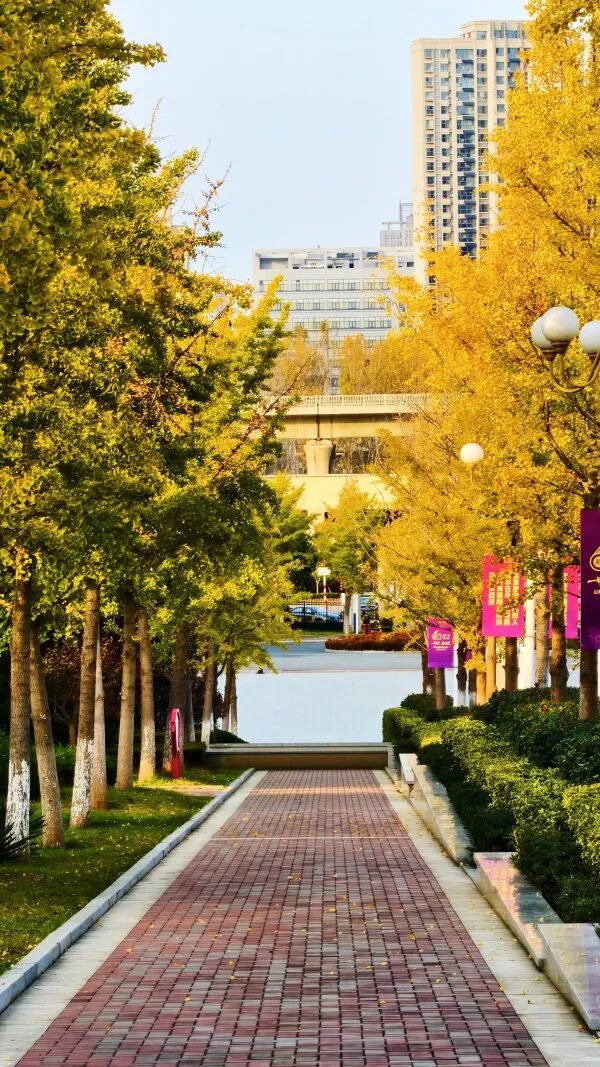 bfb3fa8c457a8887abd8cf1e79b75eaa.jpg 640 (5).jpg