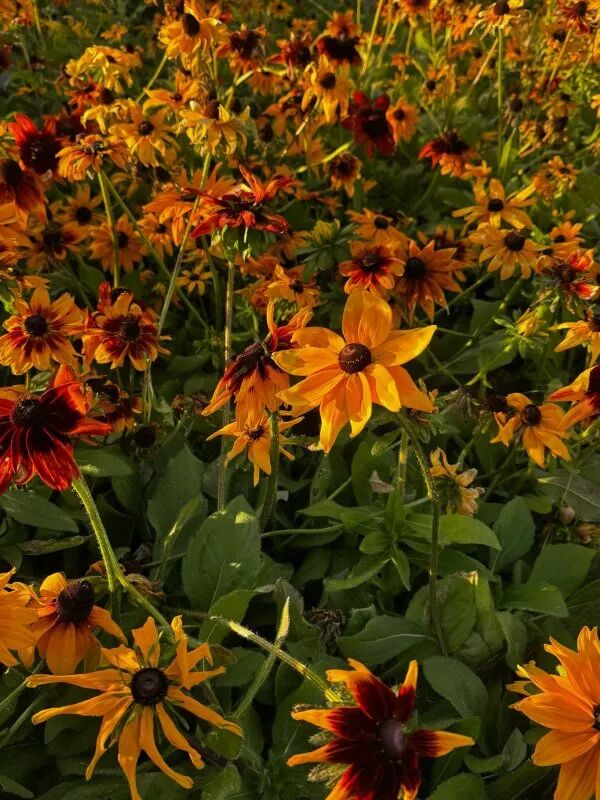 da8d803b4246daf9c101f3e87c488b89.jpg 640 (7).jpg