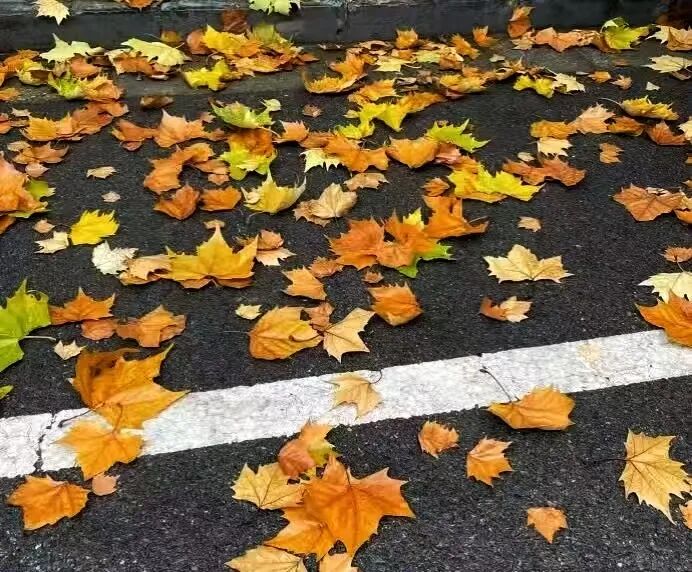 ed5f9b9d56e4b320fe1b586c8648c5bf.jpg 640 (7).jpg