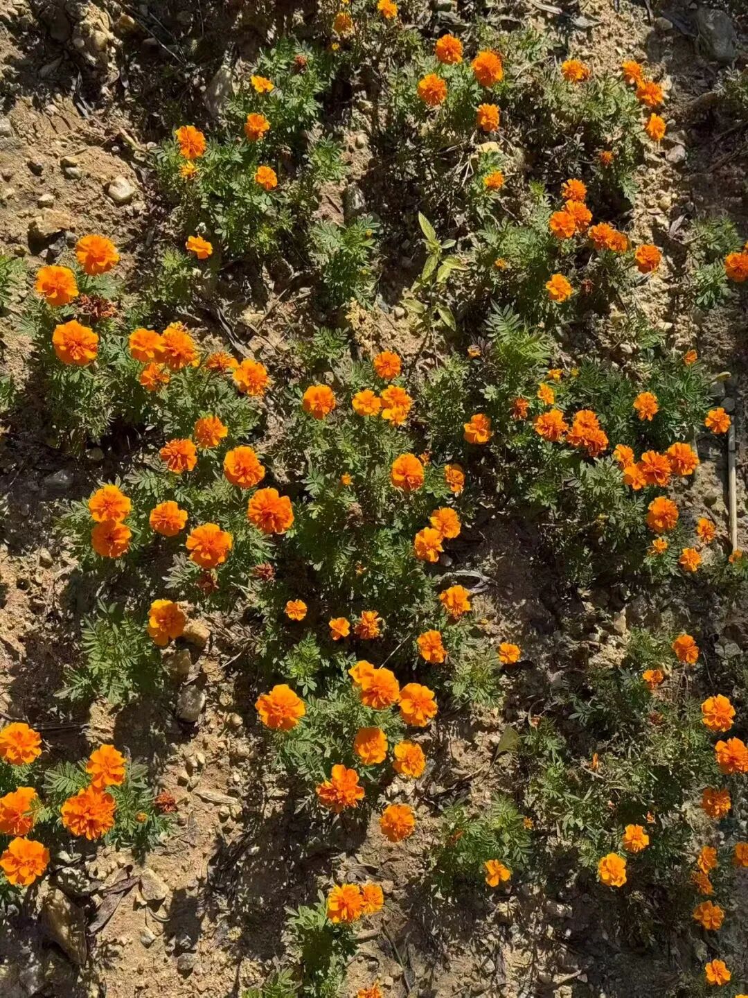 f585aeacd8c064e3159e48b09f0168e6.jpg 640 (6).jpg