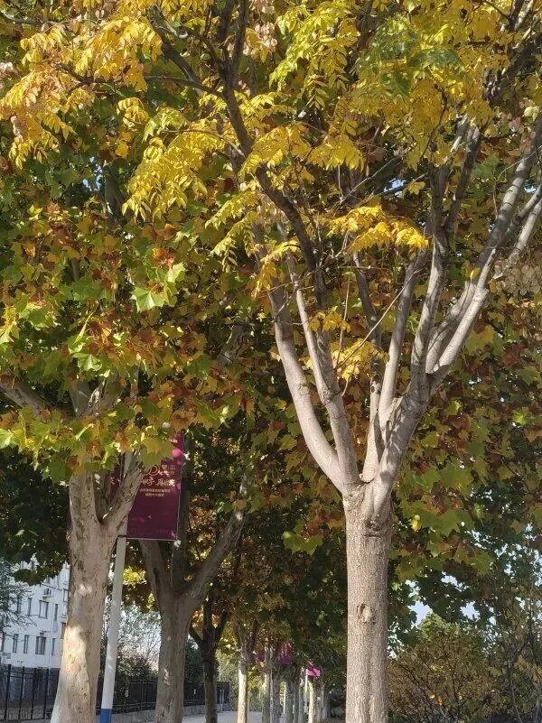 f6c3cd1280f91c466957d6a01edf217c.jpg 640 (11).jpg