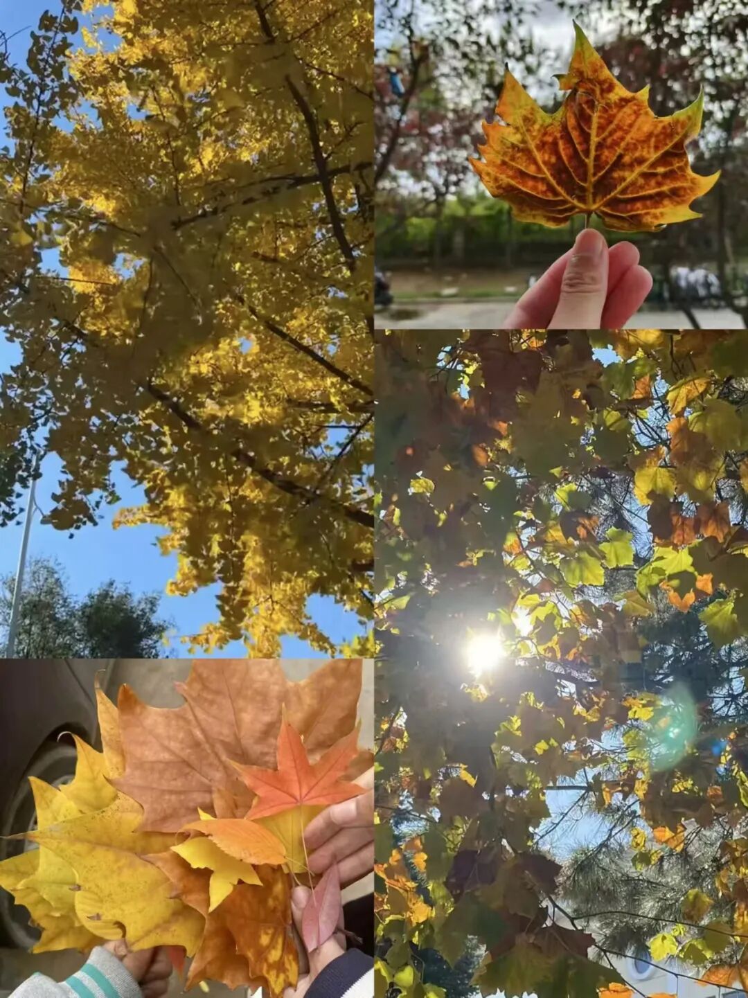 fea98a815eac3f8e23e32ee6207b5443.jpg 640 (4).jpg