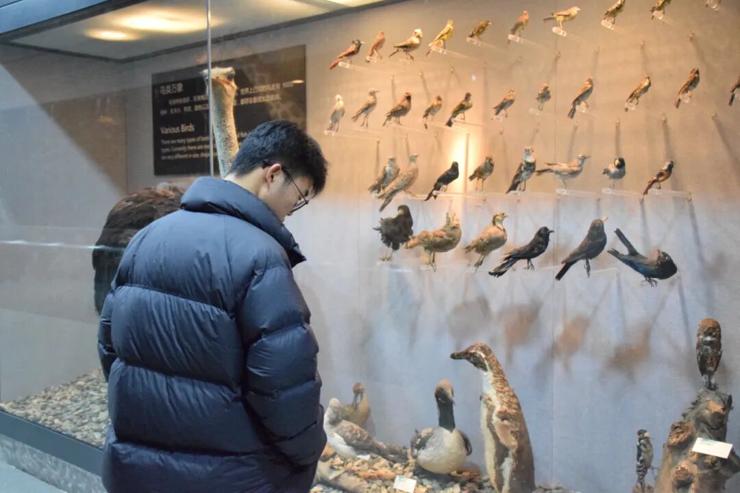 0b4595638926b1a0dfb5d48ff15a3957.jpg 640 (6).jpg