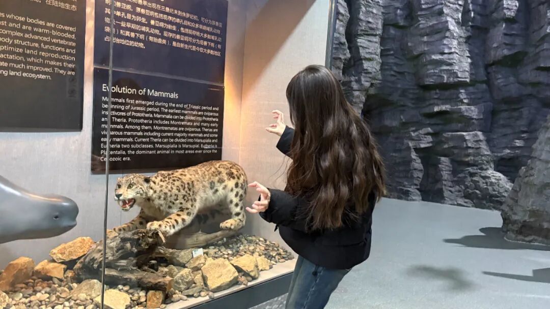 0be98353e9fea85bef535ca568a7aac1.jpg 640 (11).jpg