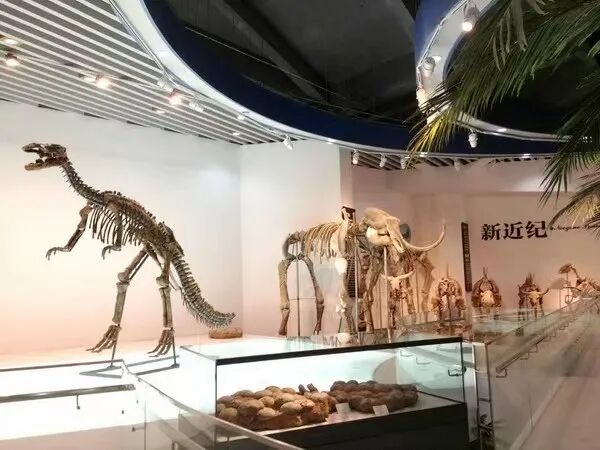 0e5015dac3eb197304cfc208dbf35753.jpg 640 (8).jpg