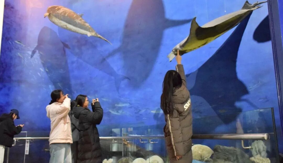 4ad151d4a40b9ed1d3c96a106d6c5d6d.jpg 640 (5).jpg